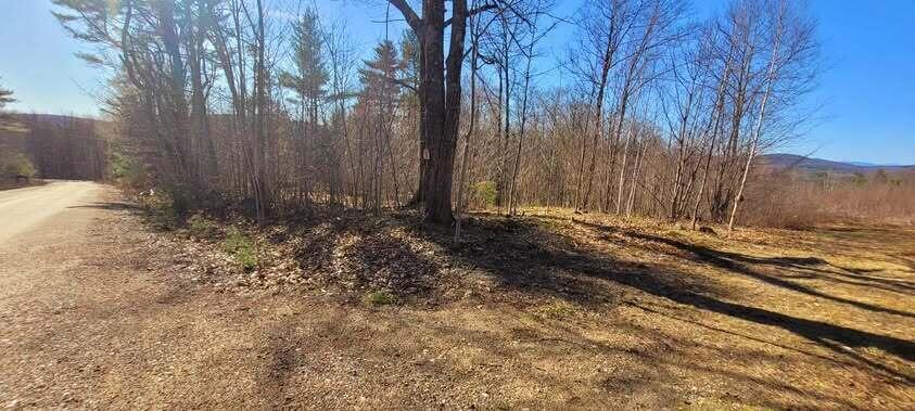 Lot 1 Wyatts Way Property Photo 9