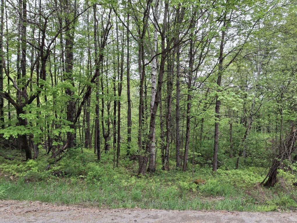 56 School Street Property Photo 1