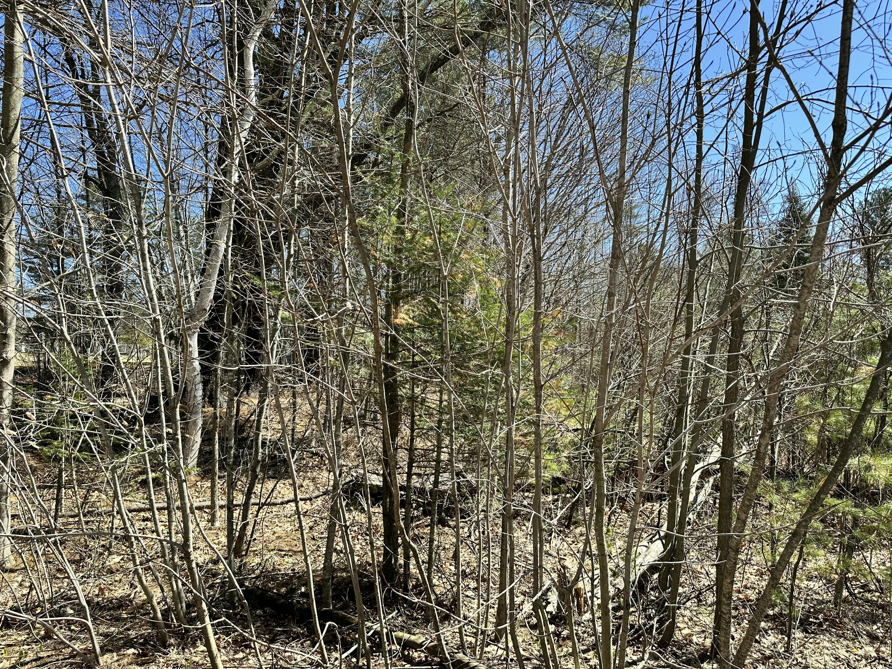 56 School Street Property Photo 7