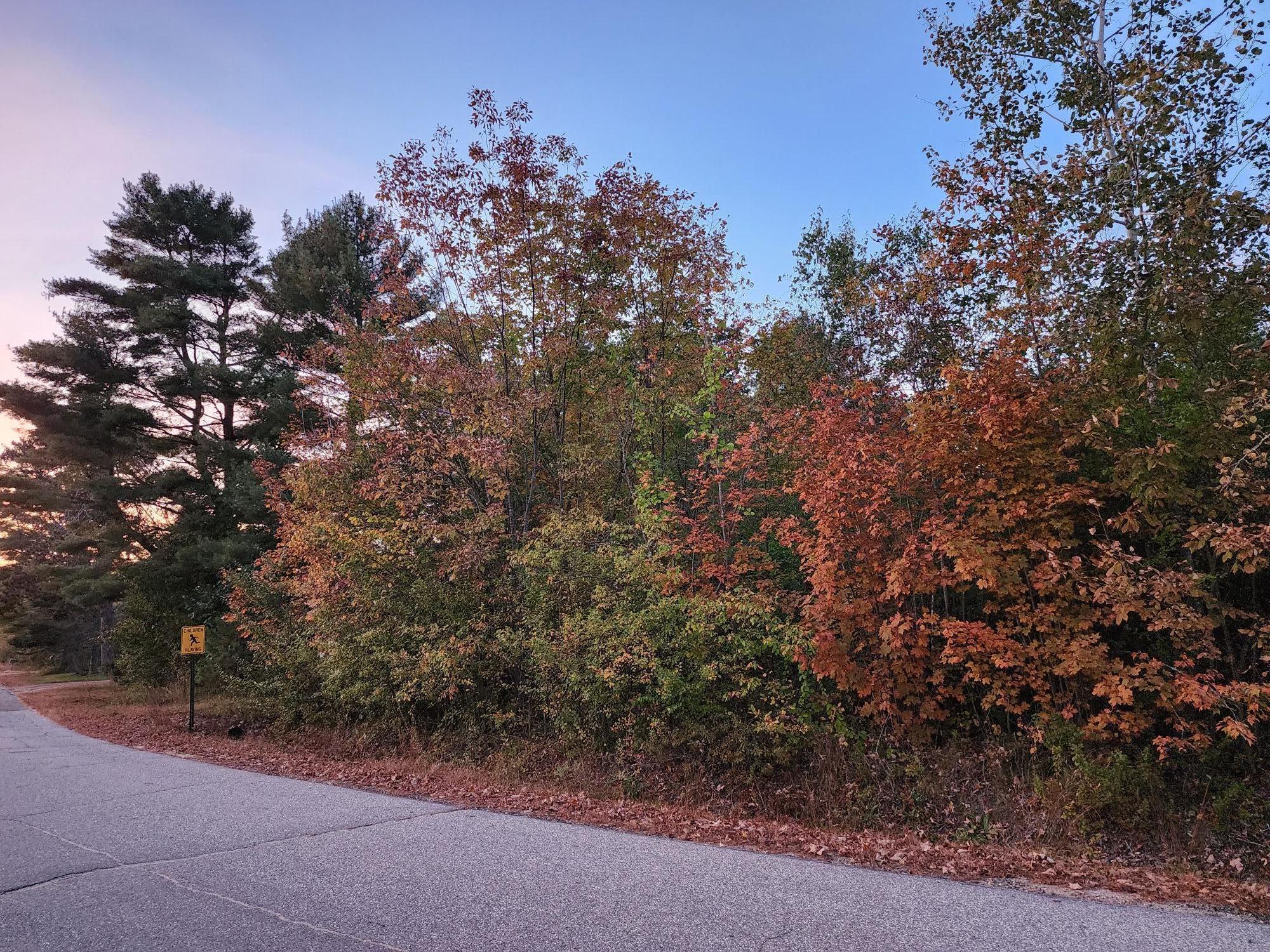 Lot #1 Jackson Crossing Road