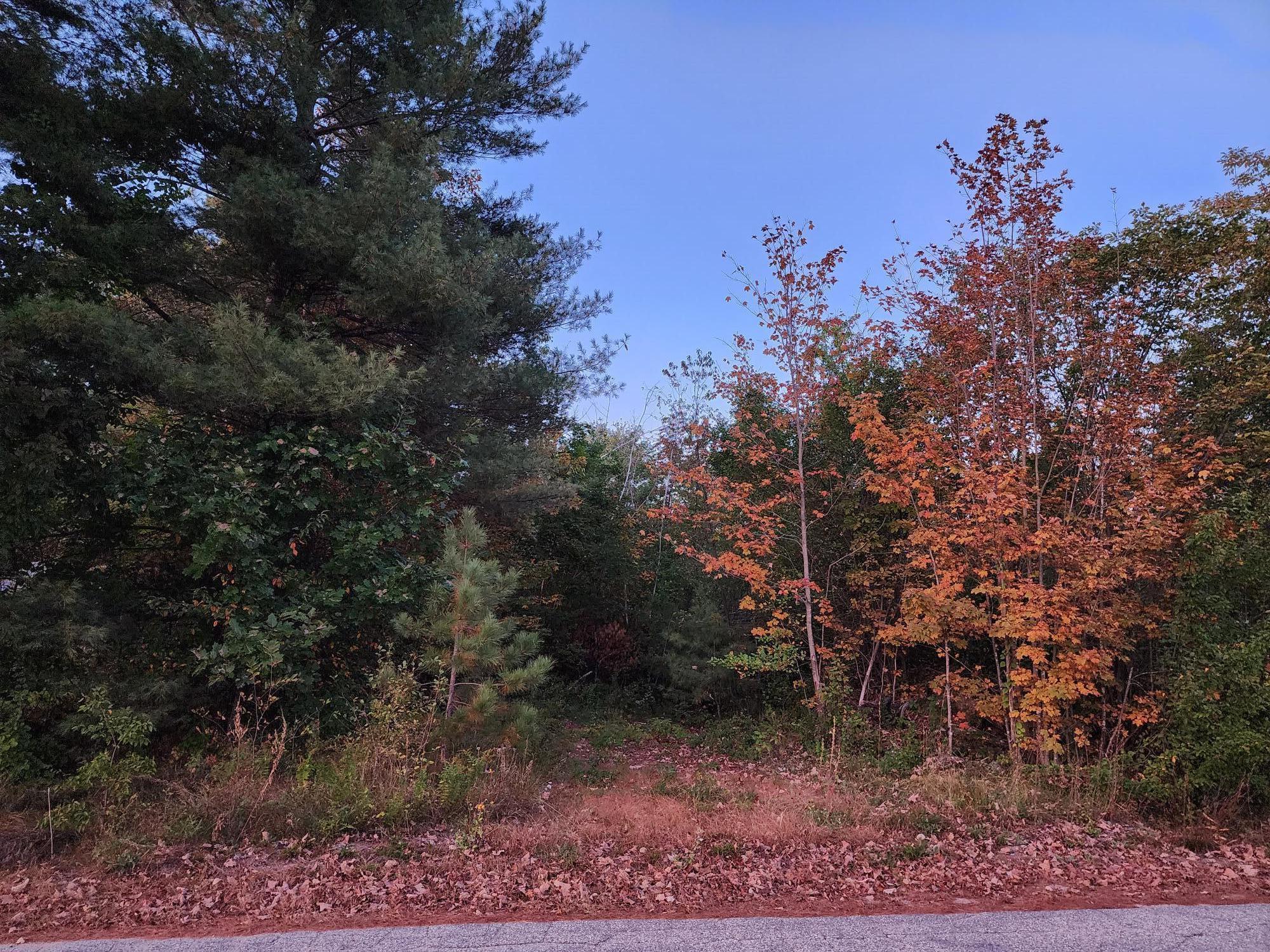 Lot #1 Jackson Crossing Road Property Photo 4