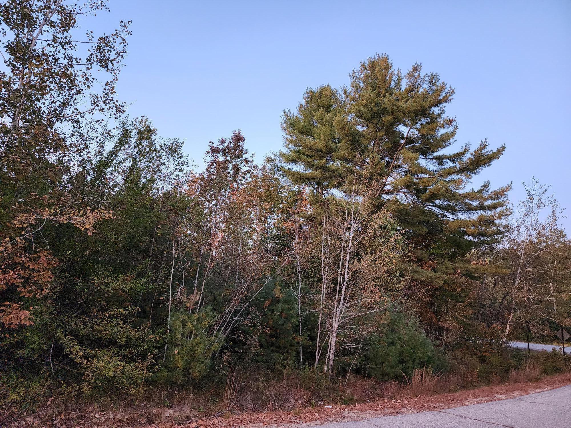 Lot #1 Jackson Crossing Road Property Photo 8