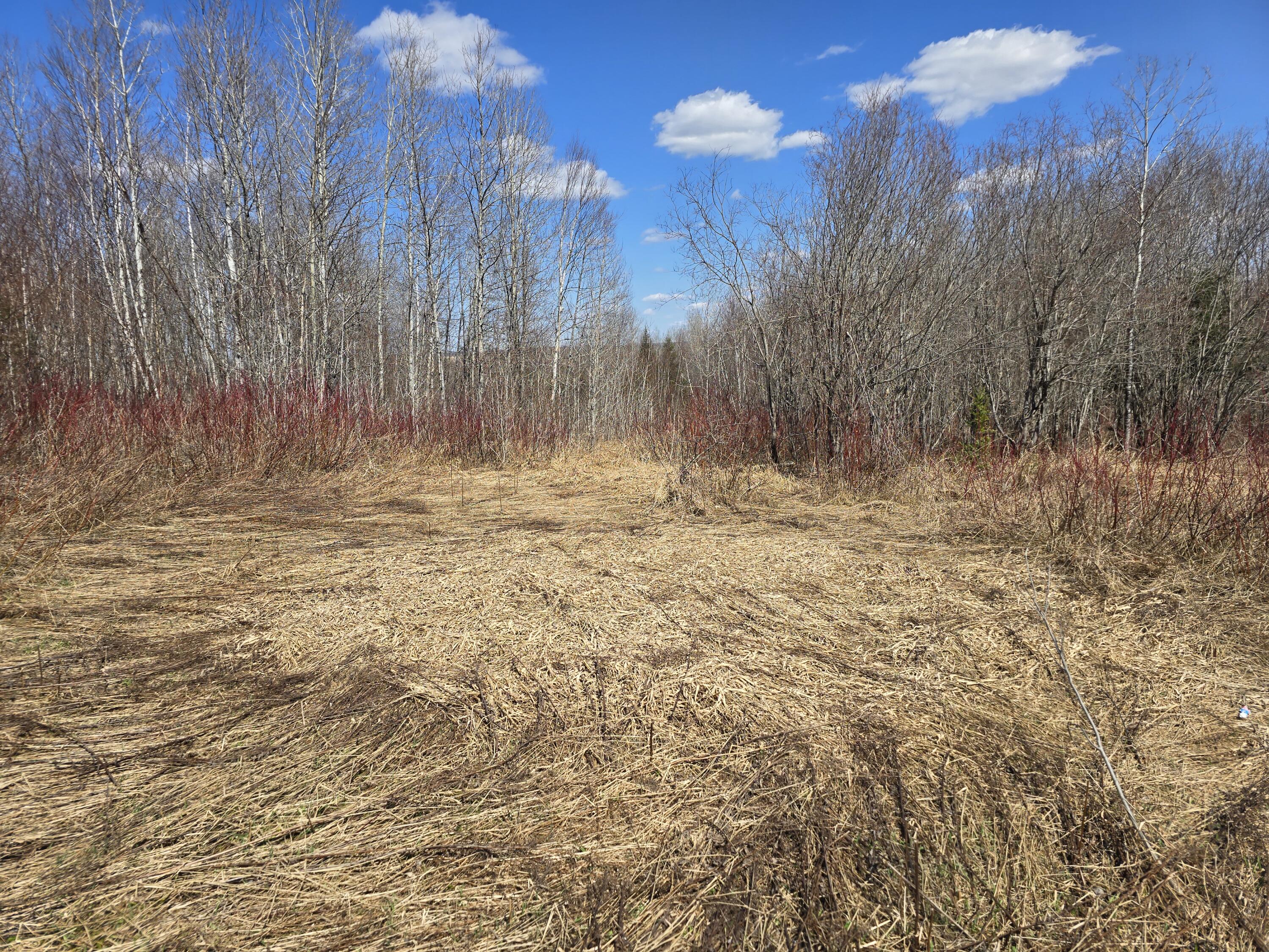 Lot 32 Alexander Road Property Photo 2