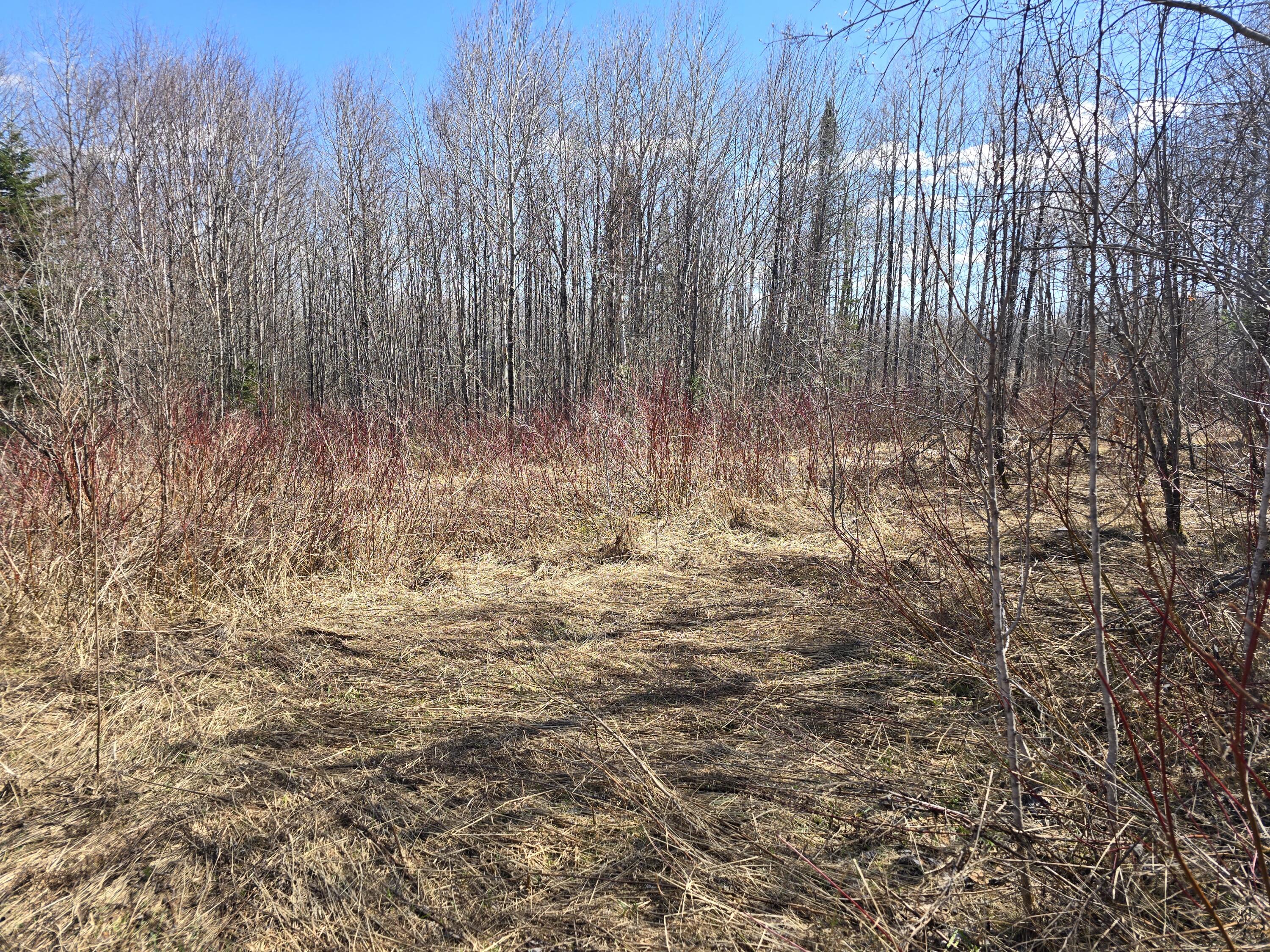 Lot 32 Alexander Road Property Photo 3