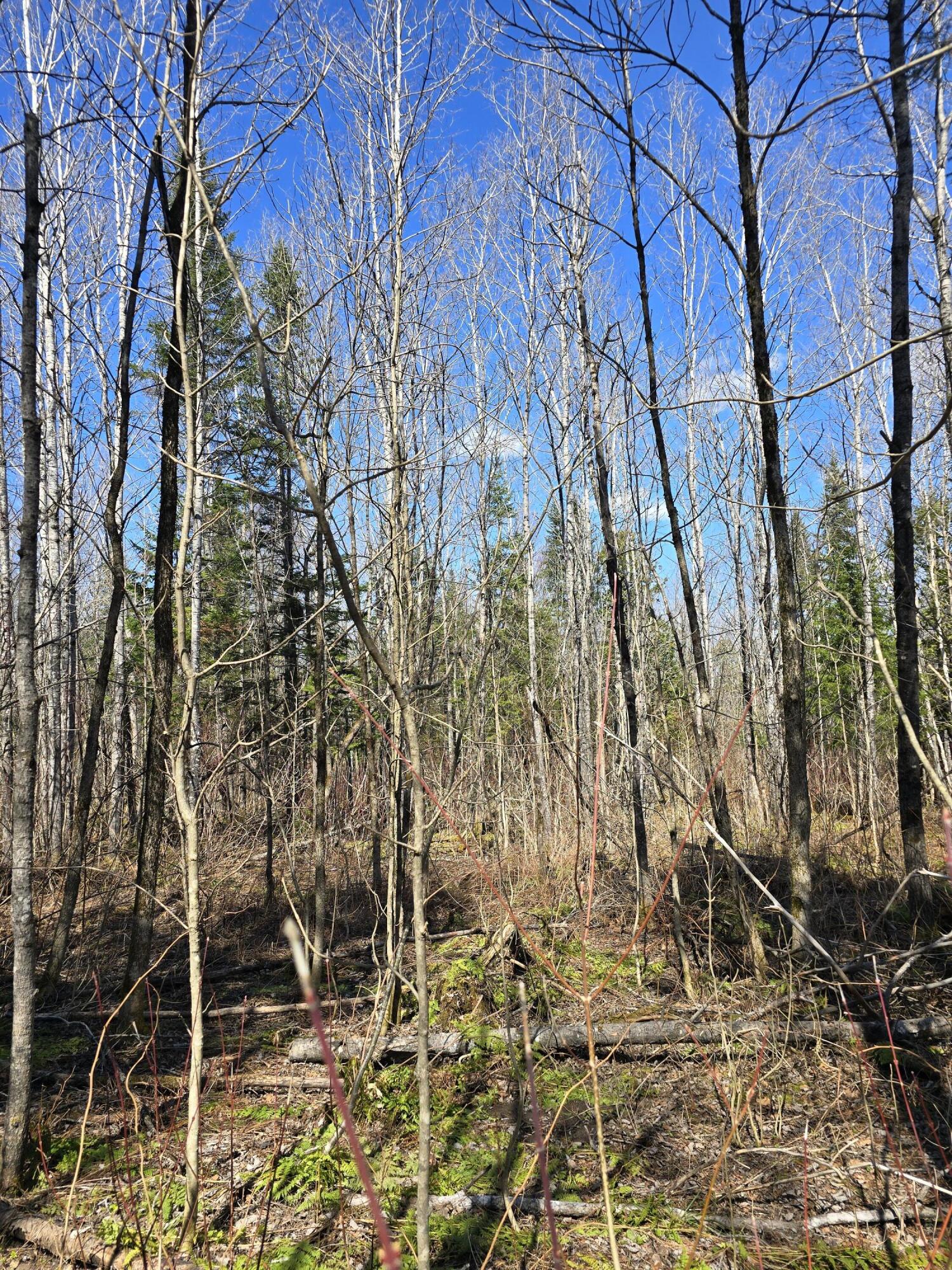 Lot 32 Alexander Road Property Photo 22