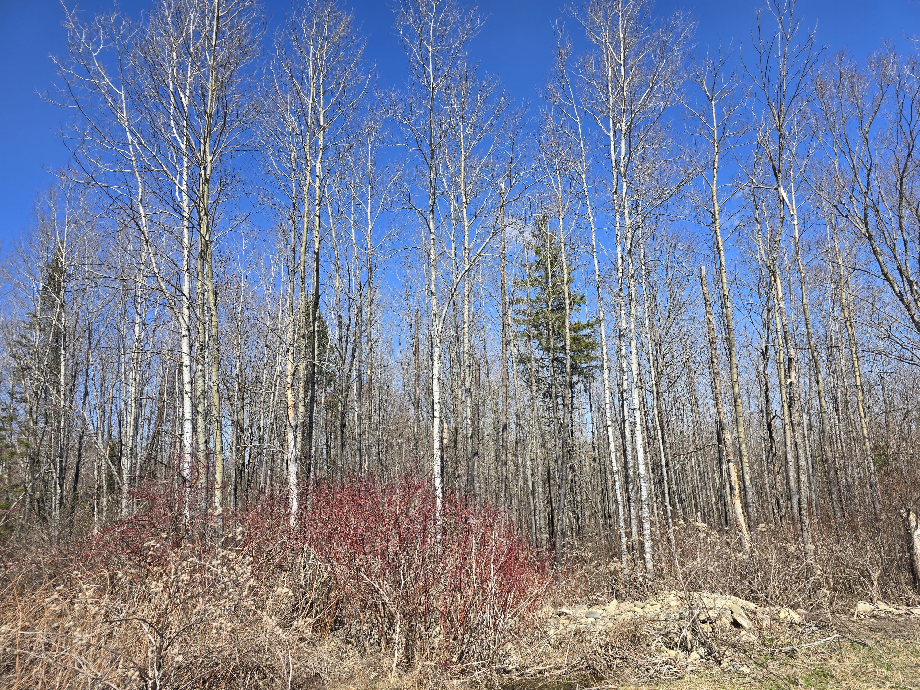 Lot 32 Alexander Road Property Photo 23