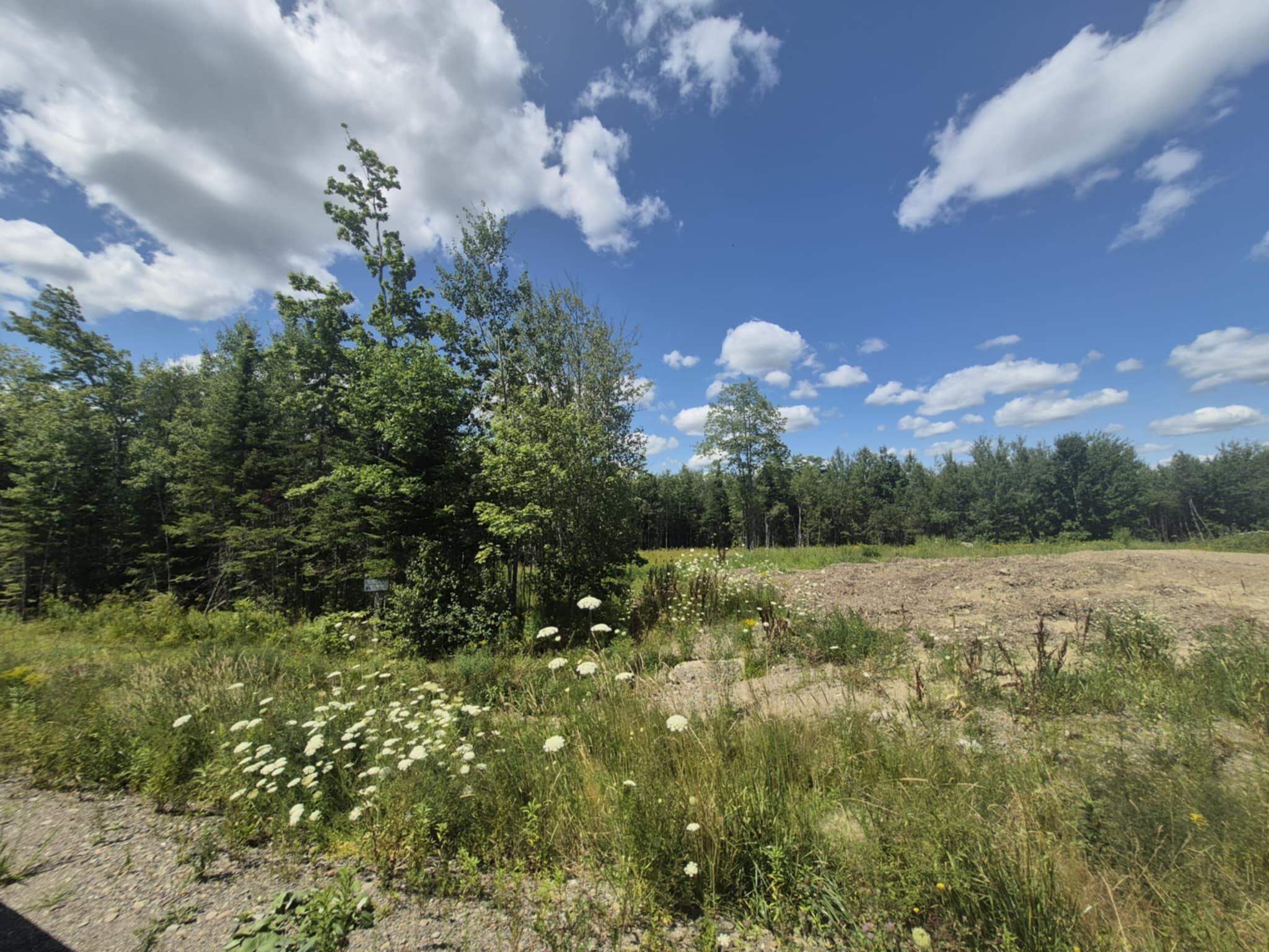 Lot 3 Hawk's Crossing Property Photo 5