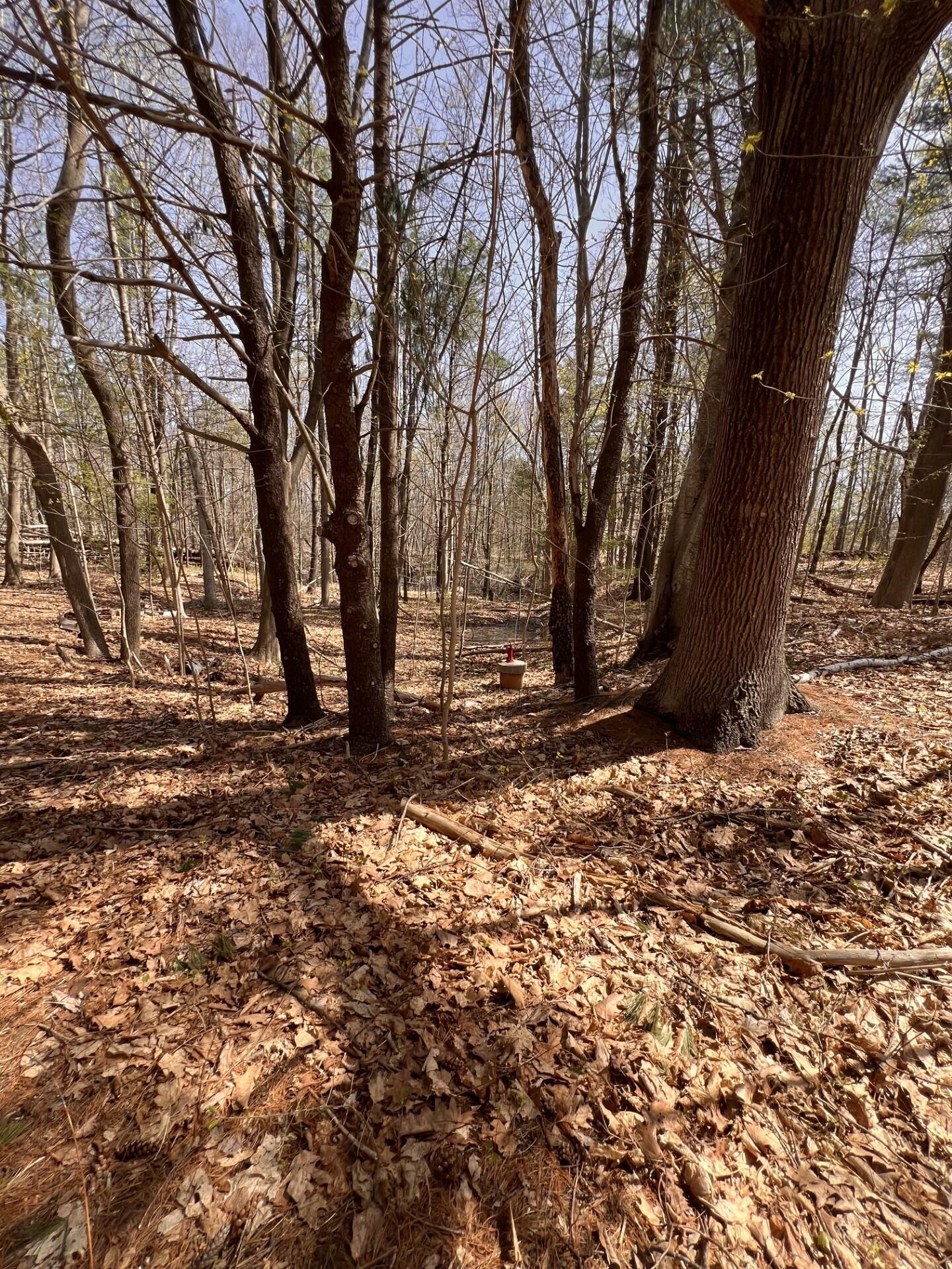 Tbd Old Orchard Road Property Photo 1