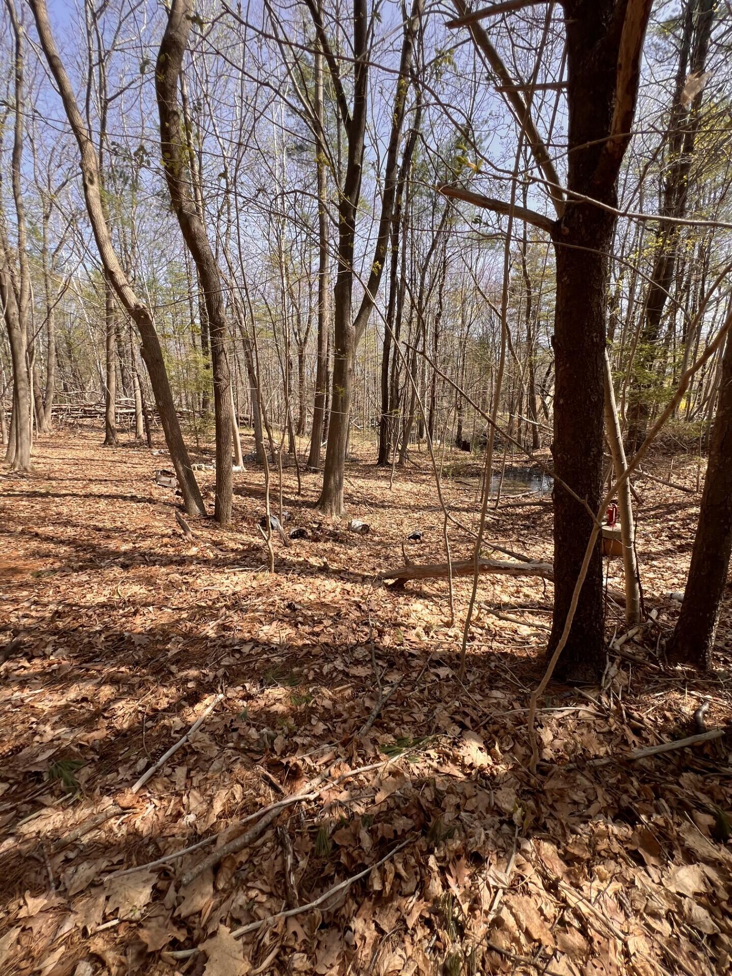 Tbd Old Orchard Road Property Photo 3