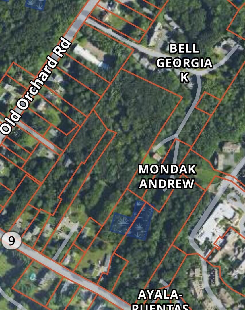 Tbd Old Orchard Road Property Photo 4
