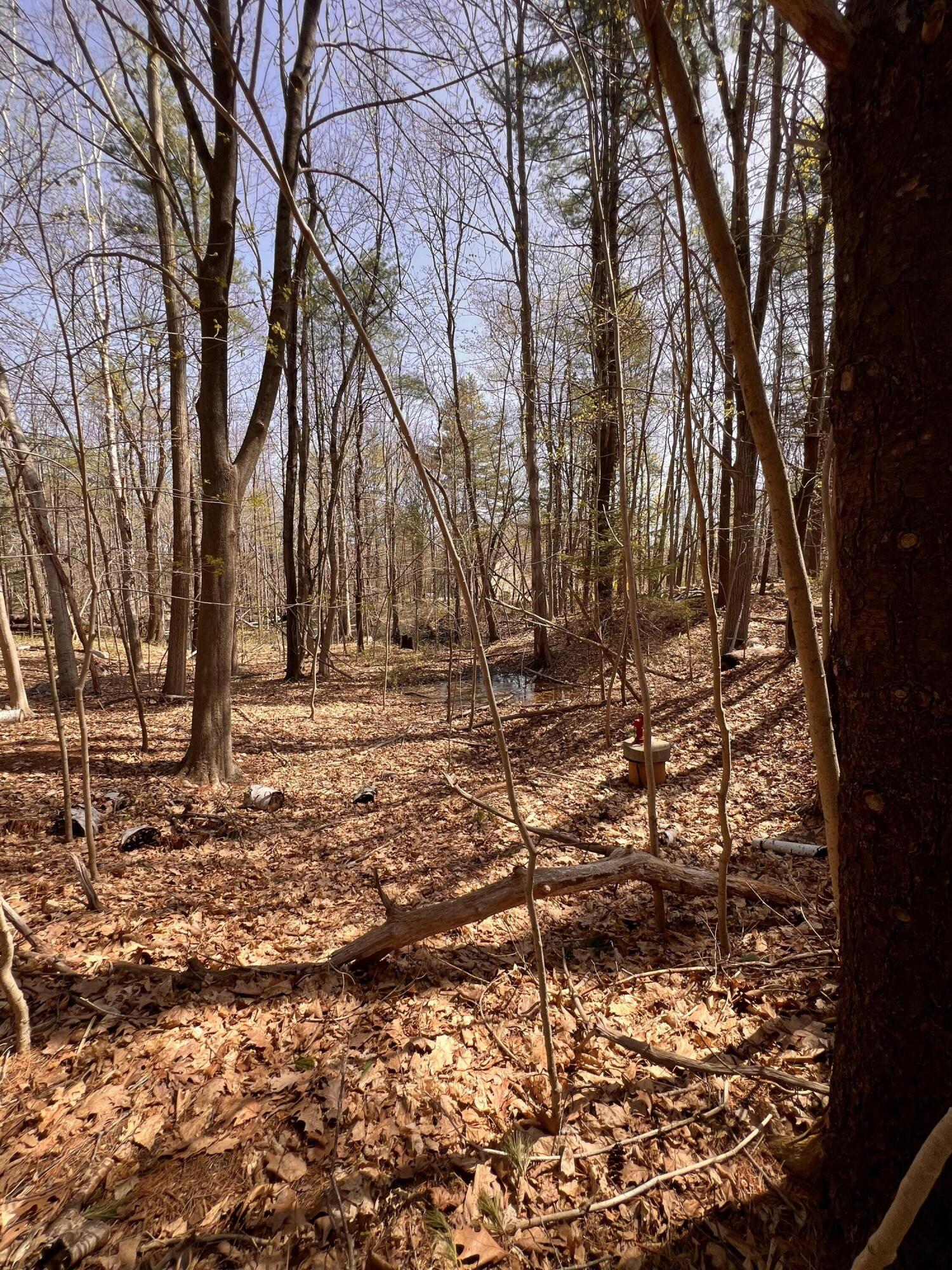 Tbd Old Orchard Road Property Photo 5