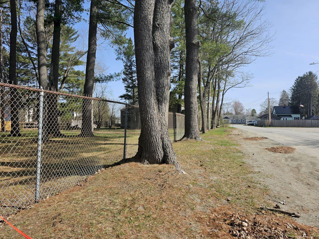 M33 L94-1 (lot 17 & 18) Reed Street Property Photo 1