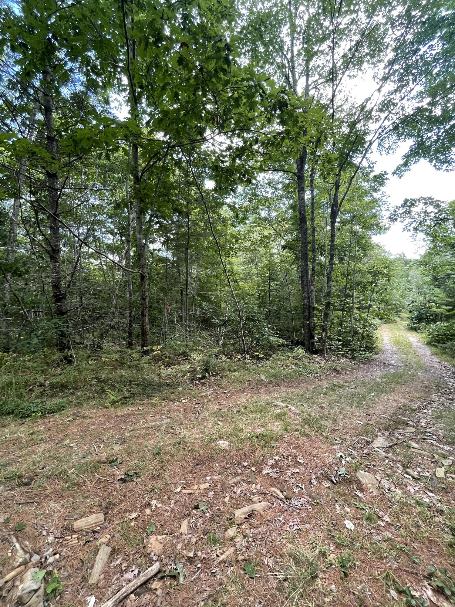 Lot 68-11 Shore Road Property Photo 1