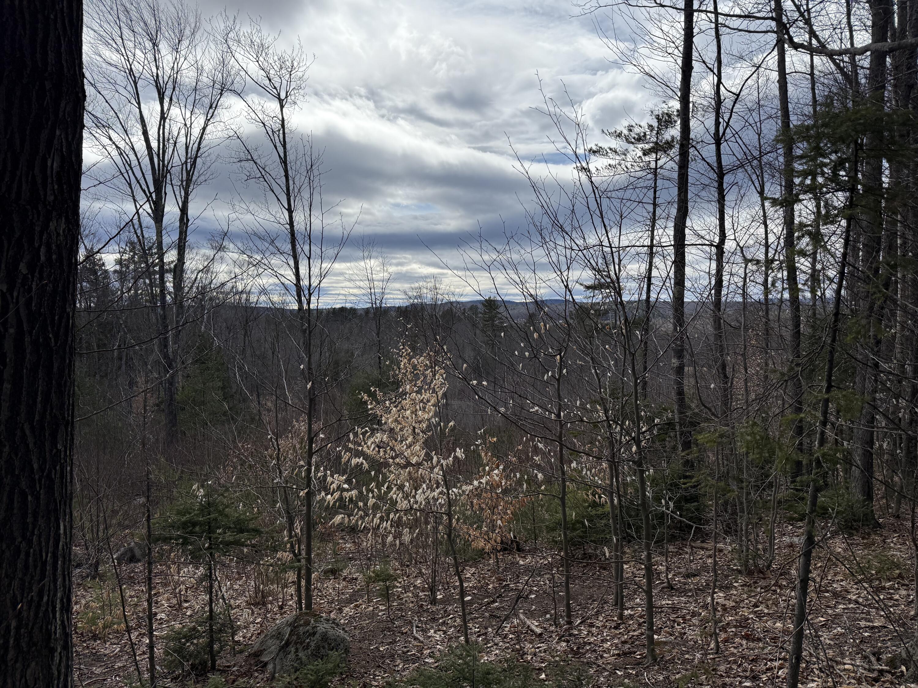 Lot #3 Moose Hill Road Property Photo 1