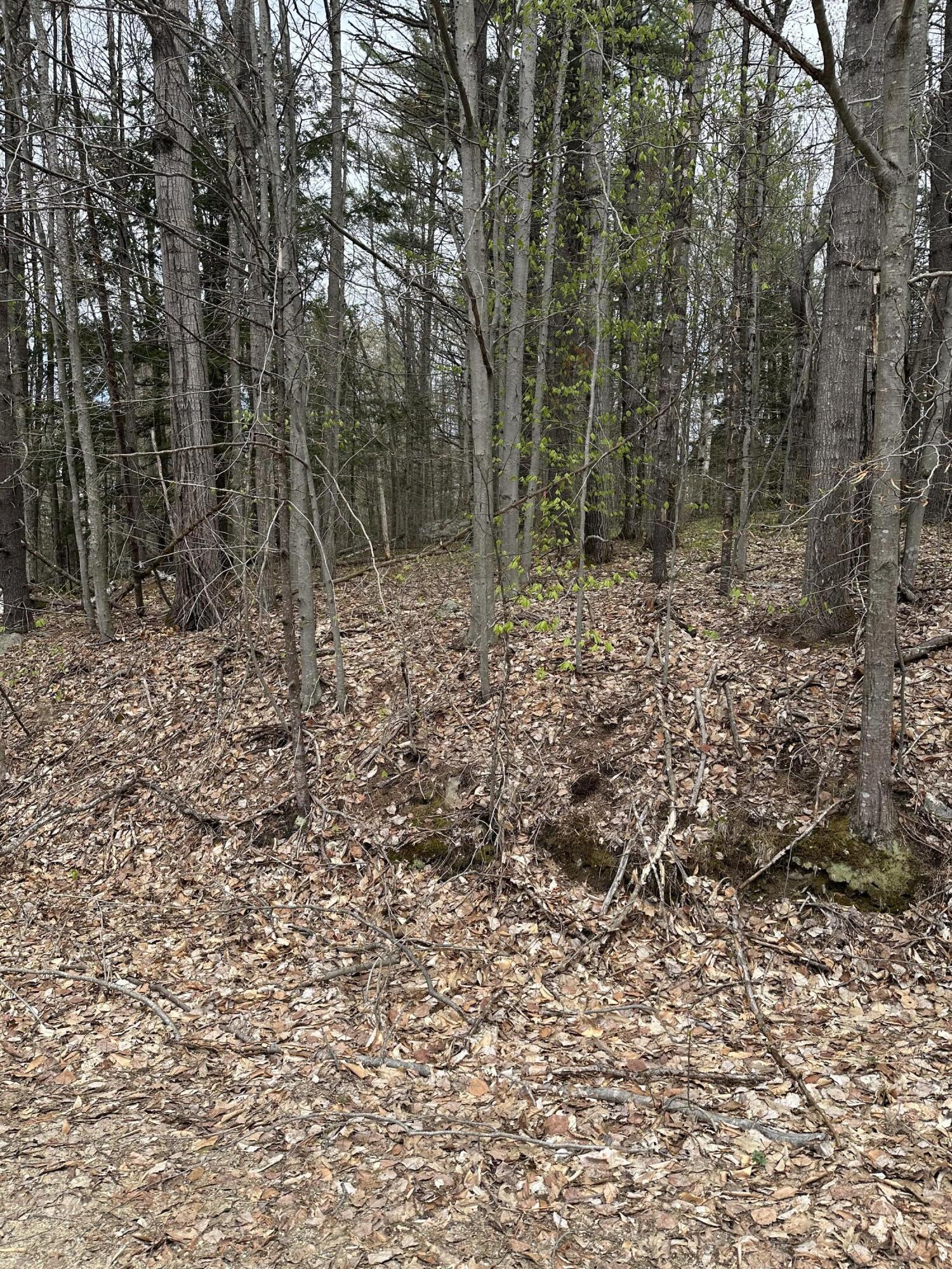 Lot #5 - 344 Moose Hill Road Property Photo 1