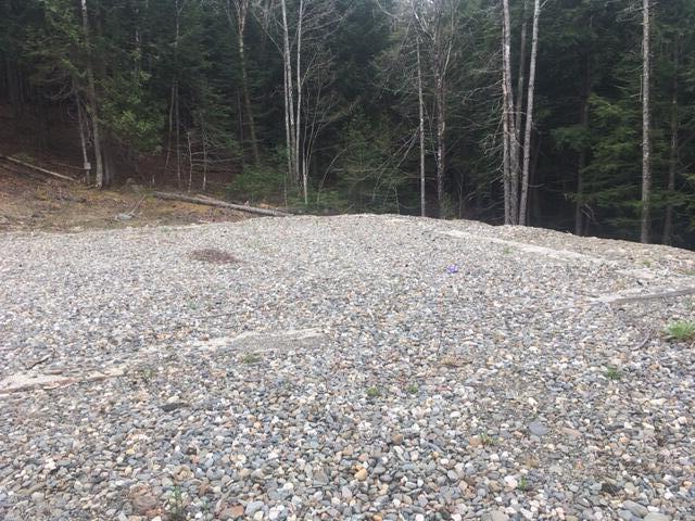 Lots 2&3 Maple Ridge Road Property Photo 1