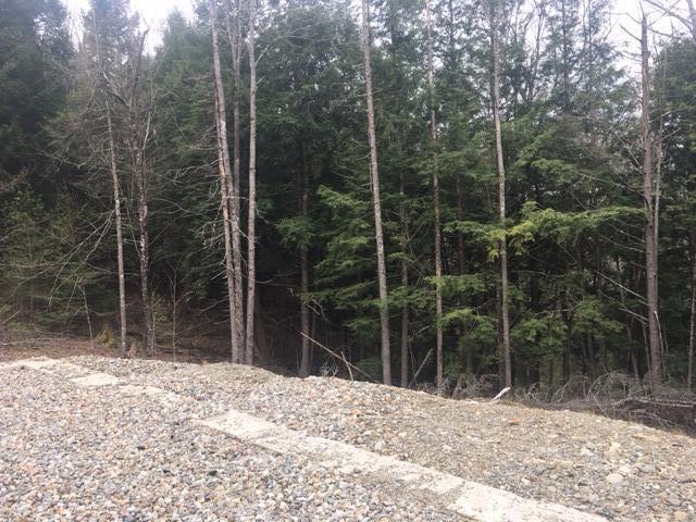 Lots 2&3 Maple Ridge Road Property Photo 2