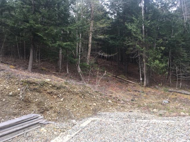 Lots 2&3 Maple Ridge Road Property Photo 3