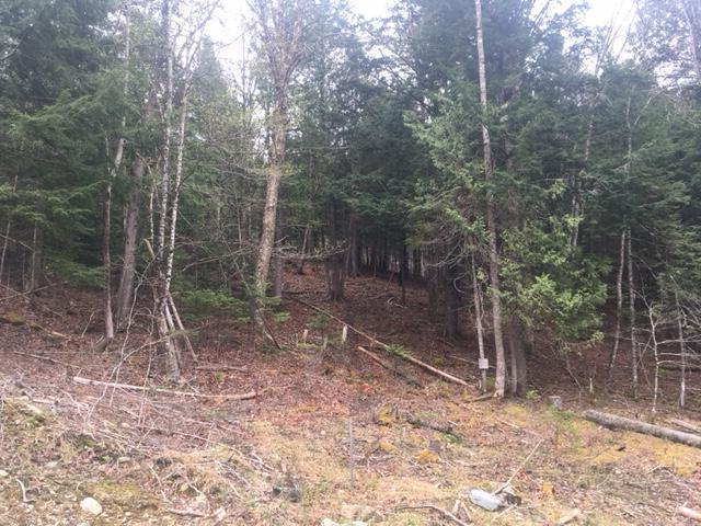 Lots 2&3 Maple Ridge Road Property Photo 4