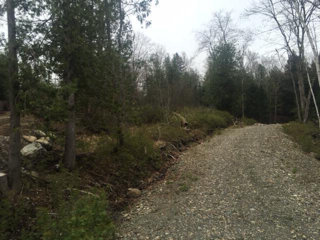 Lots 2&3 Maple Ridge Road Property Photo 6