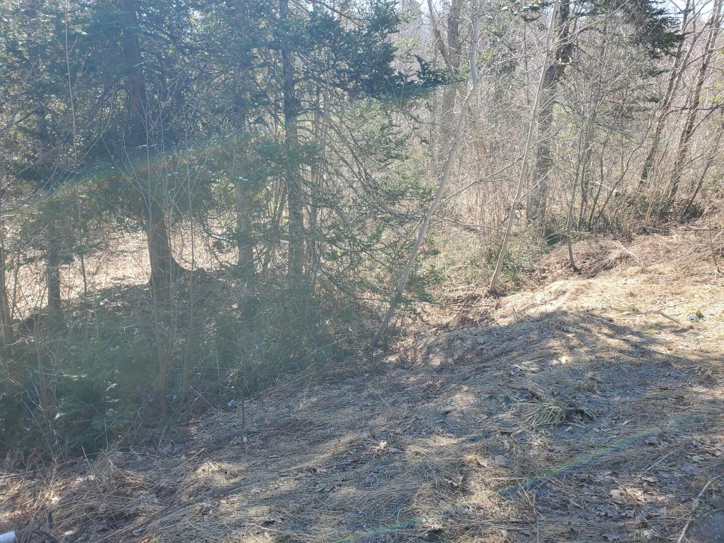Lot# 47 Indian Hill Lane Property Photo 4