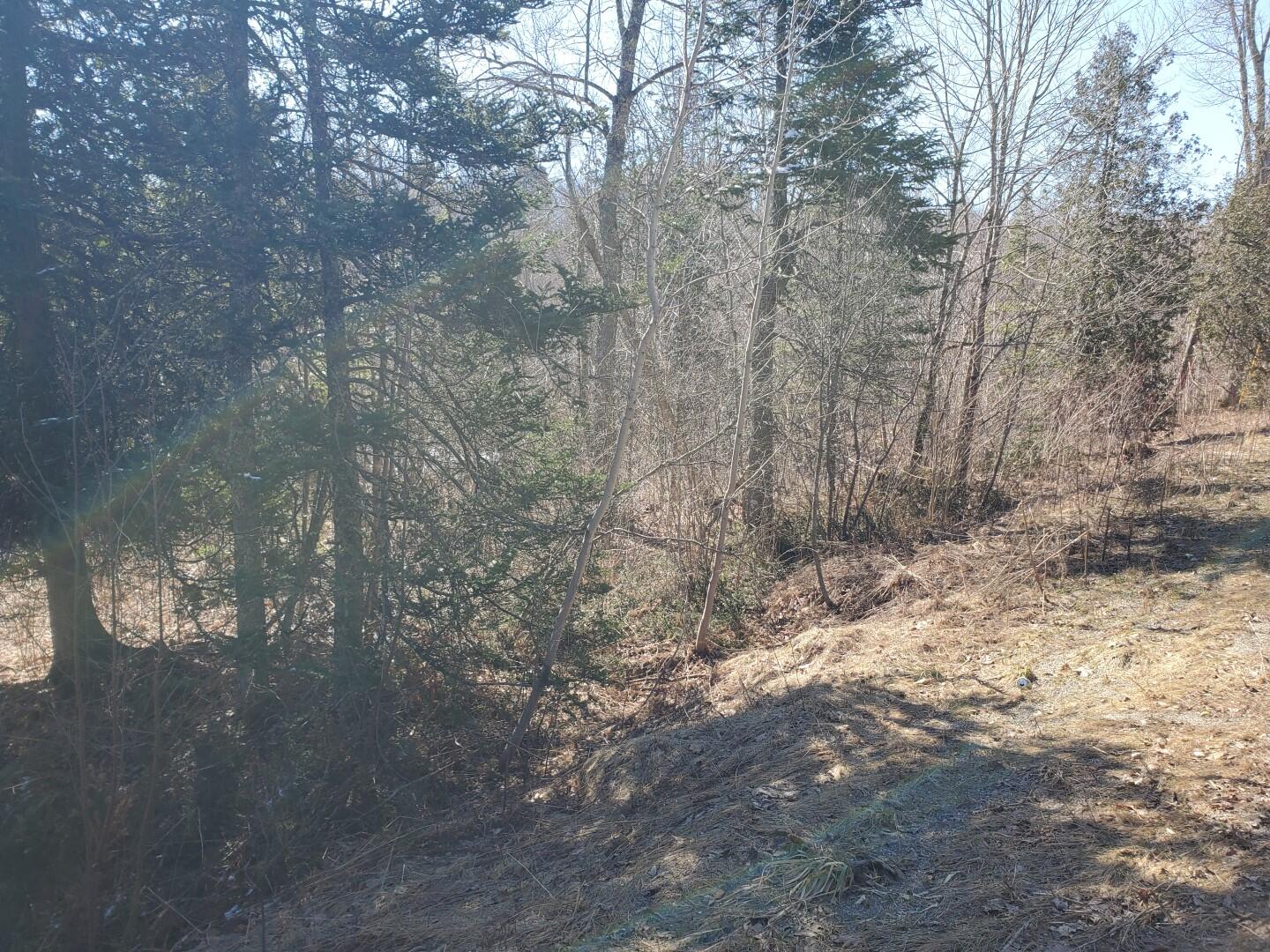Lot# 47 Indian Hill Lane Property Photo 6