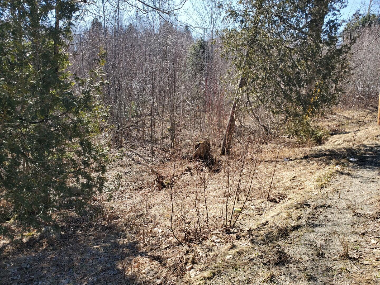 Lot# 47 Indian Hill Lane Property Photo 8