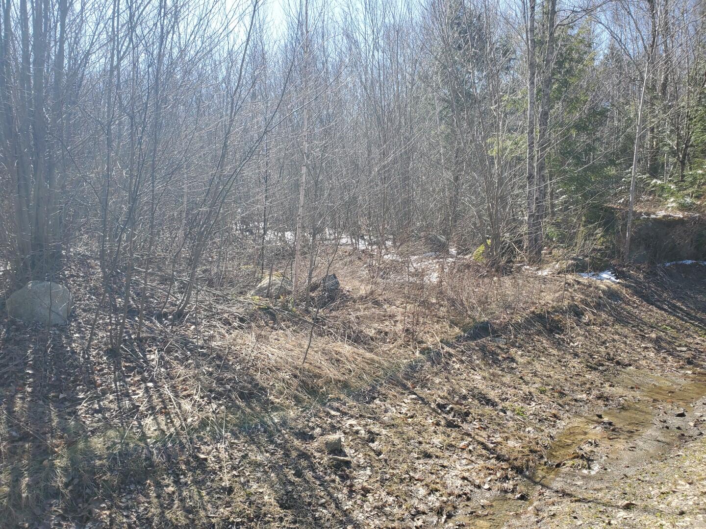 Lot# 47 Indian Hill Lane Property Photo 18