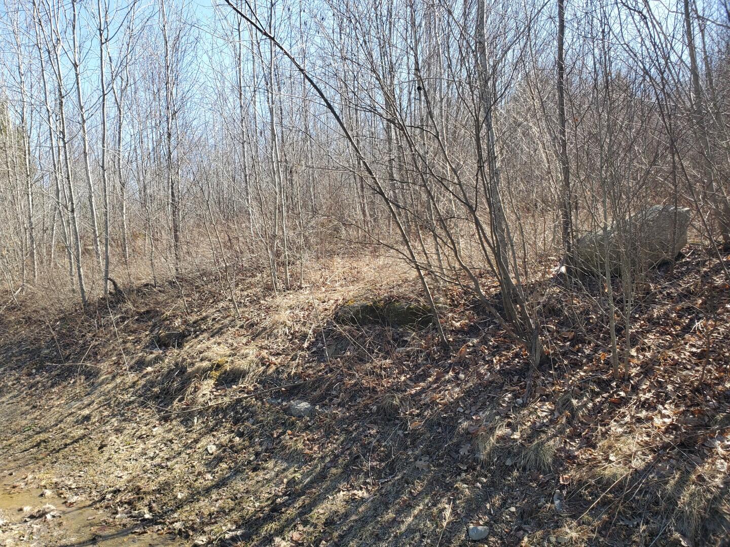 Lot# 47 Indian Hill Lane Property Photo 20