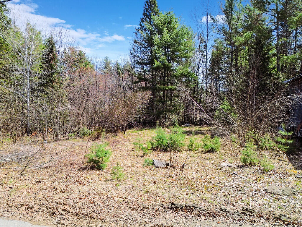 R-01-031 Mason Road Property Photo 7