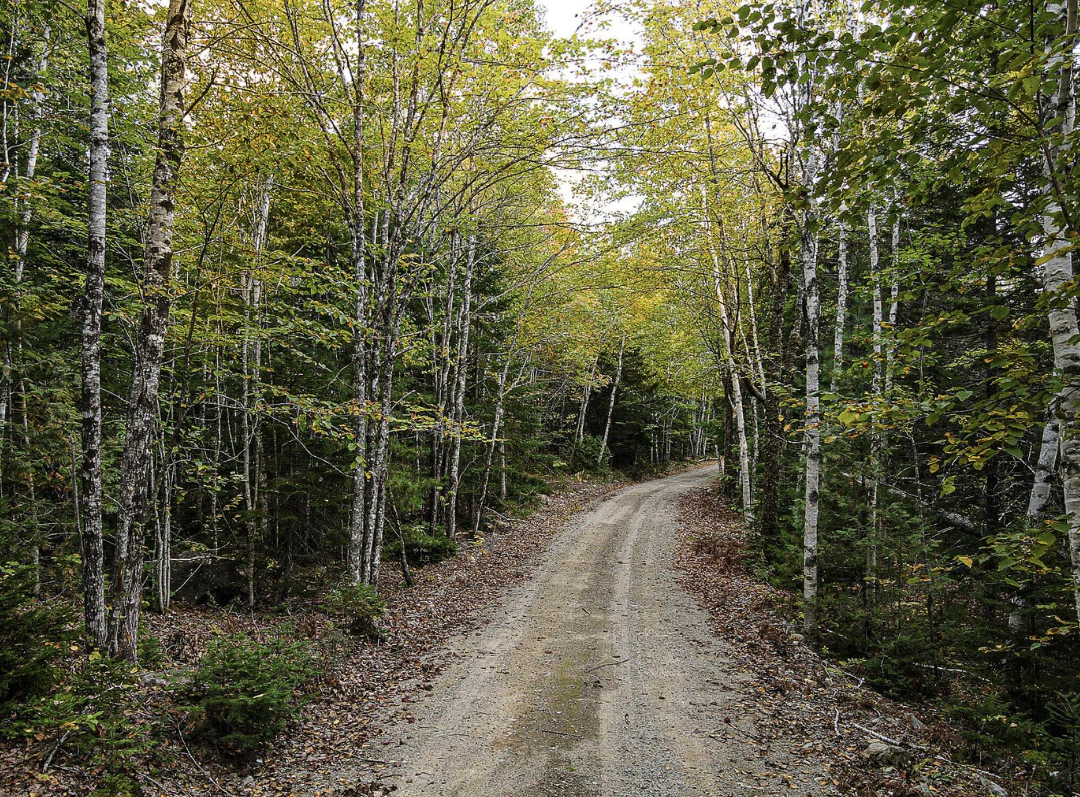 Lot 11-1 Carry Ridge Road Property Photo 4
