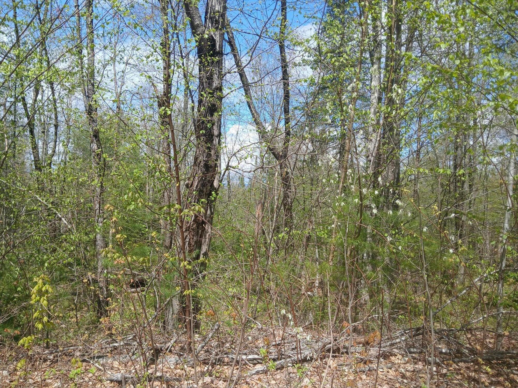 41 Federal Road Property Photo 5