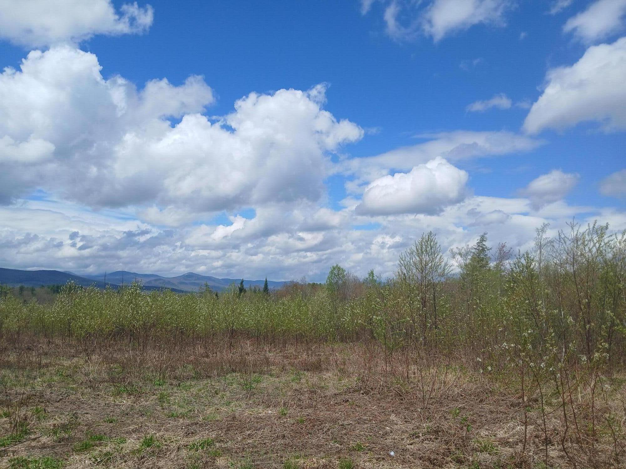 41 Federal Road Property Photo 10