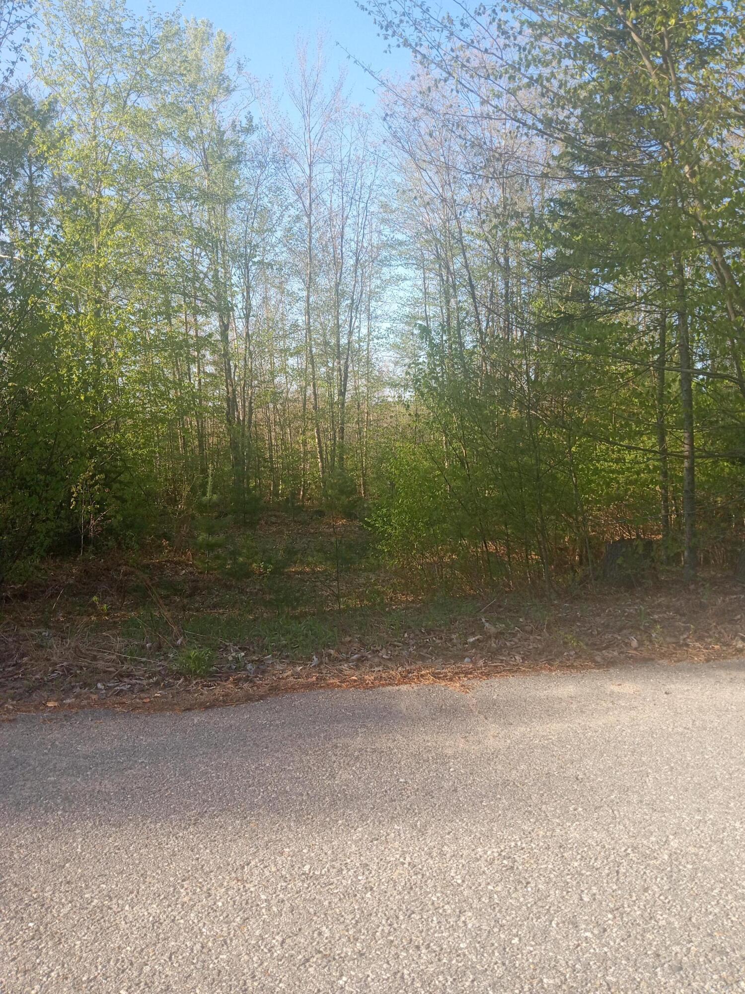 41 Federal Road Property Photo 12