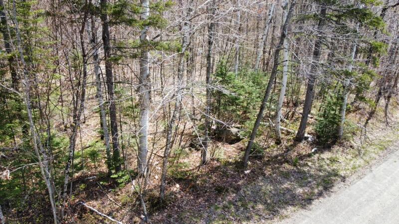 2029 Fox Hollow Road Property Photo 4
