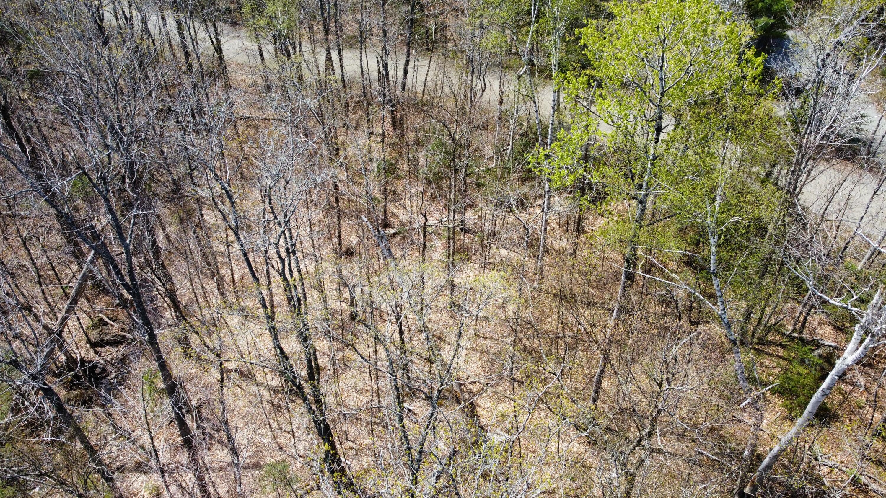 2029 Fox Hollow Road Property Photo 5