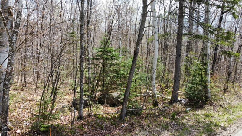 2029 Fox Hollow Road Property Photo 6