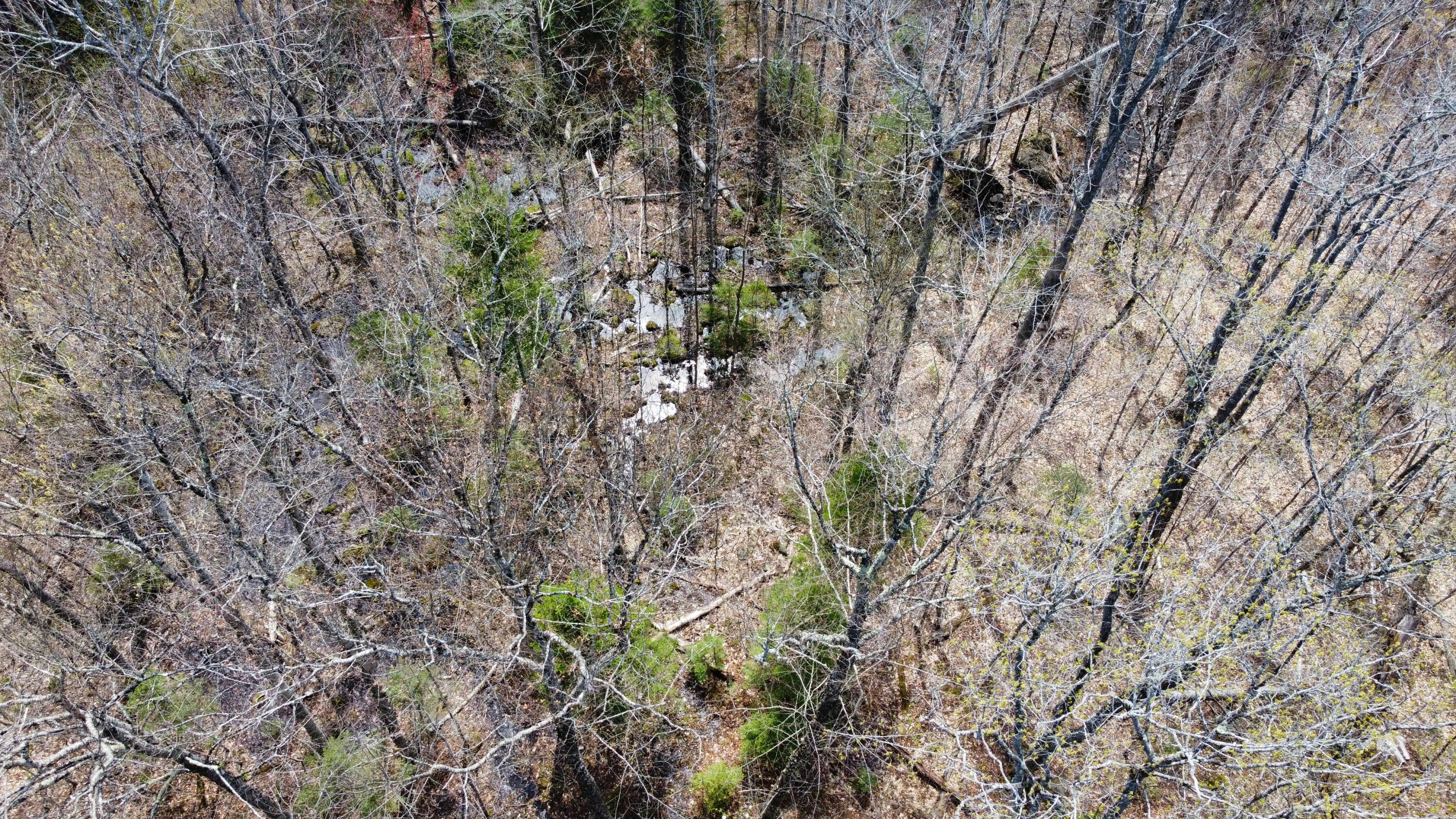 2029 Fox Hollow Road Property Photo 7