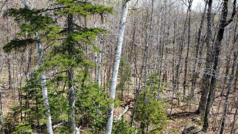 2029 Fox Hollow Road Property Photo 8