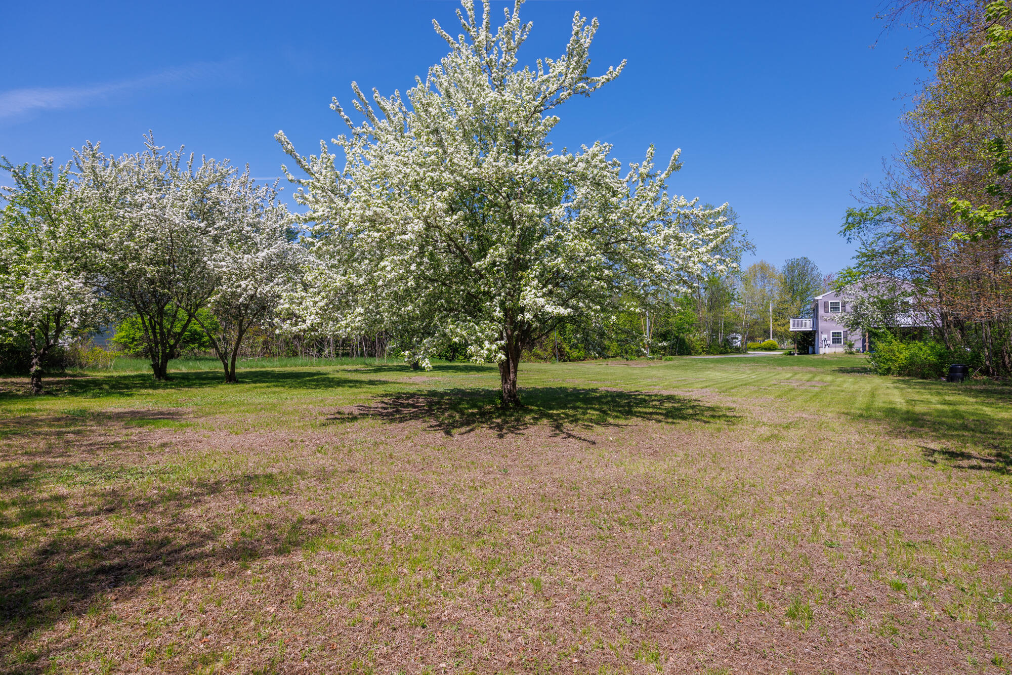 25 Fairview Drive Property Photo 11
