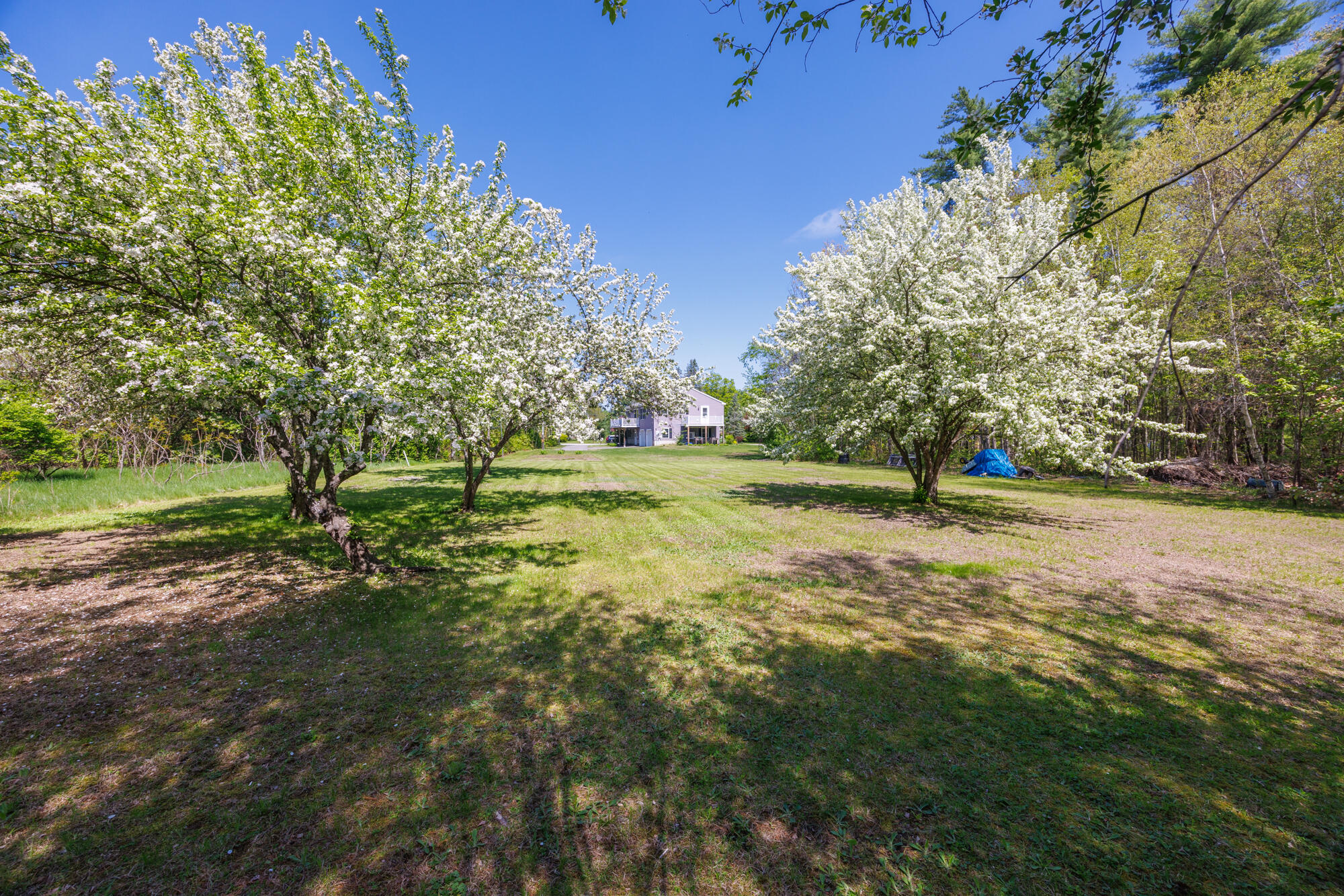 25 Fairview Drive Property Photo 12