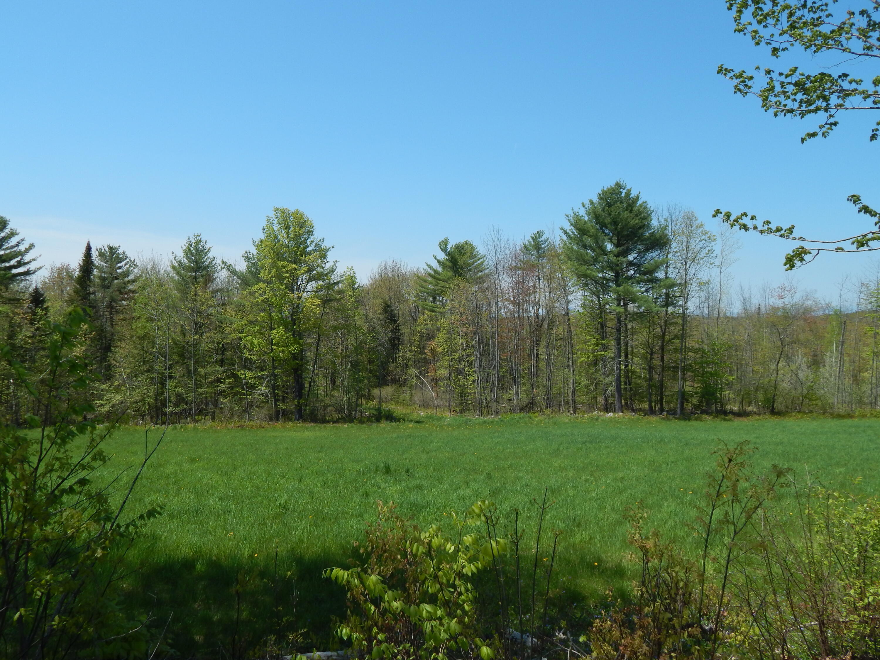 592 Maple Ridge Road Property Photo 1
