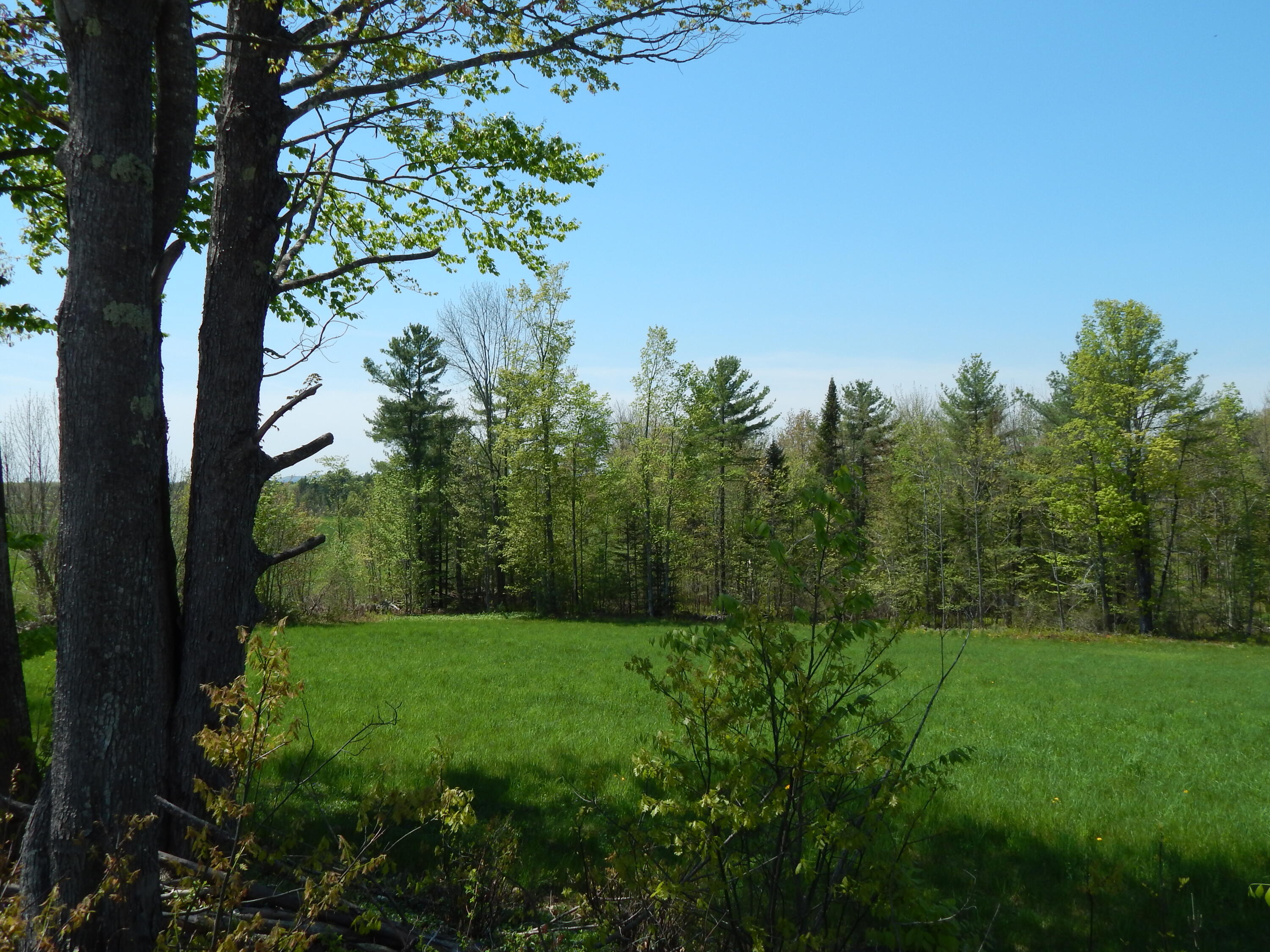 592 Maple Ridge Road Property Photo 2