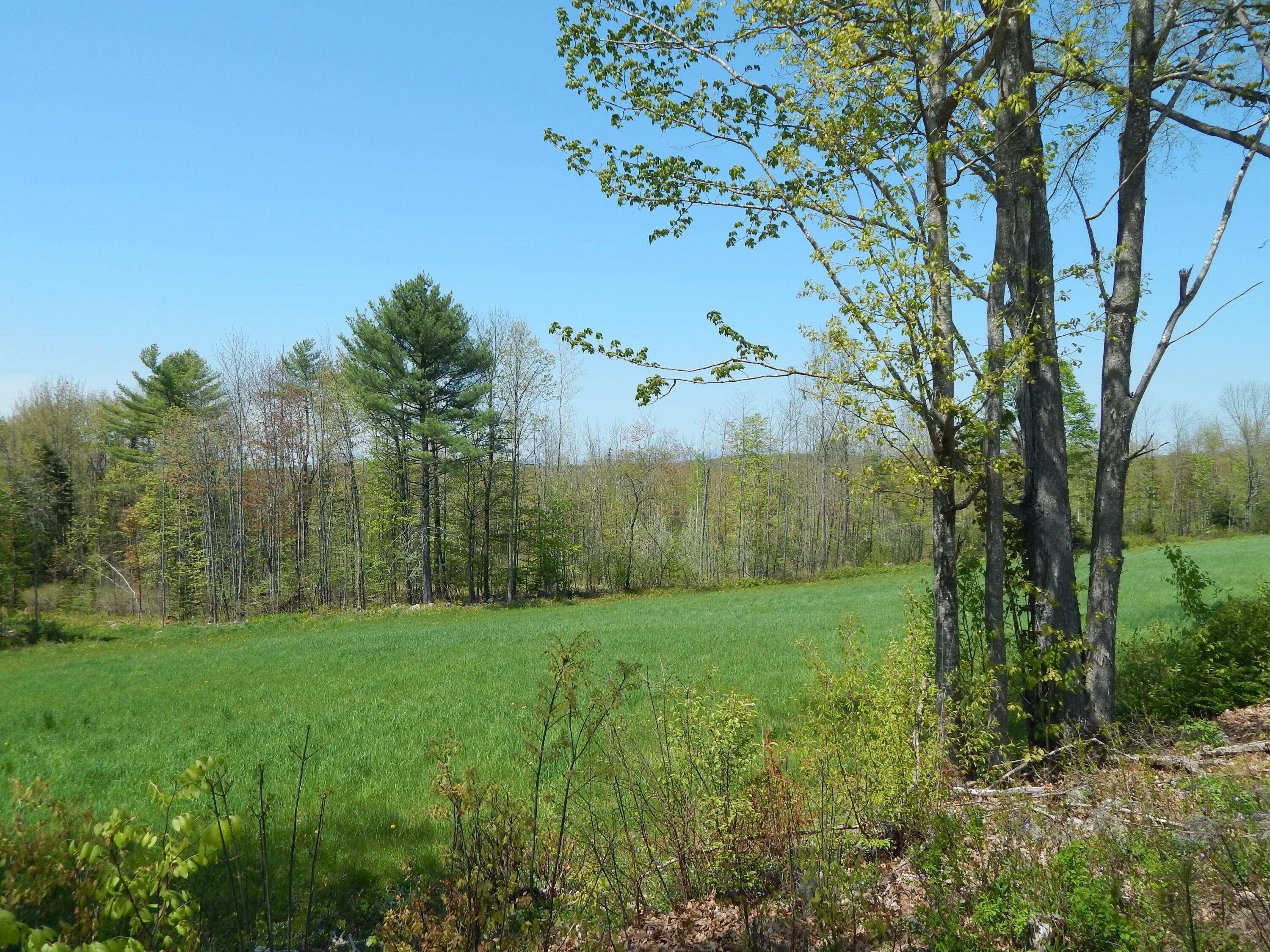 592 Maple Ridge Road Property Photo 3