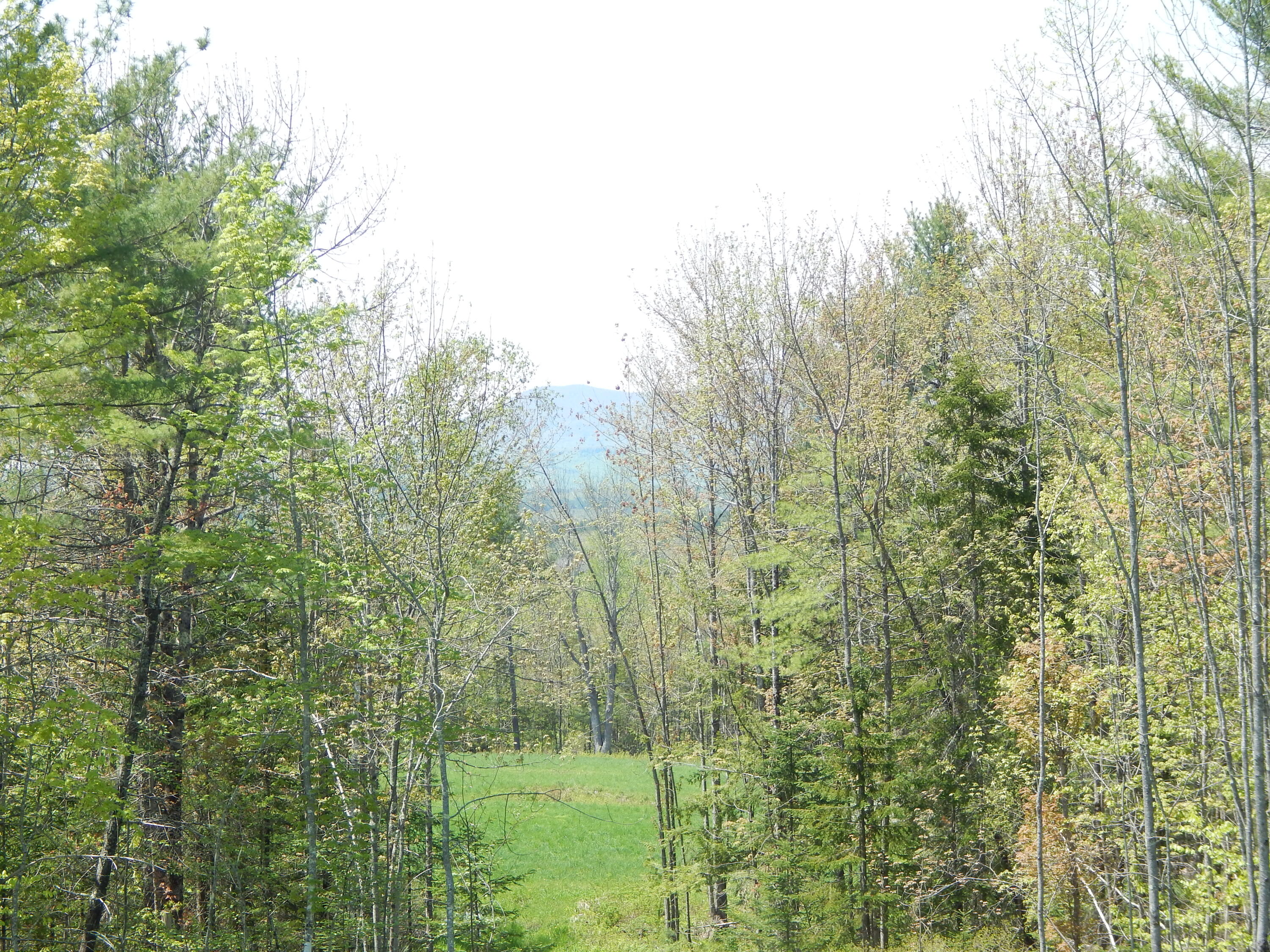592 Maple Ridge Road Property Photo 4