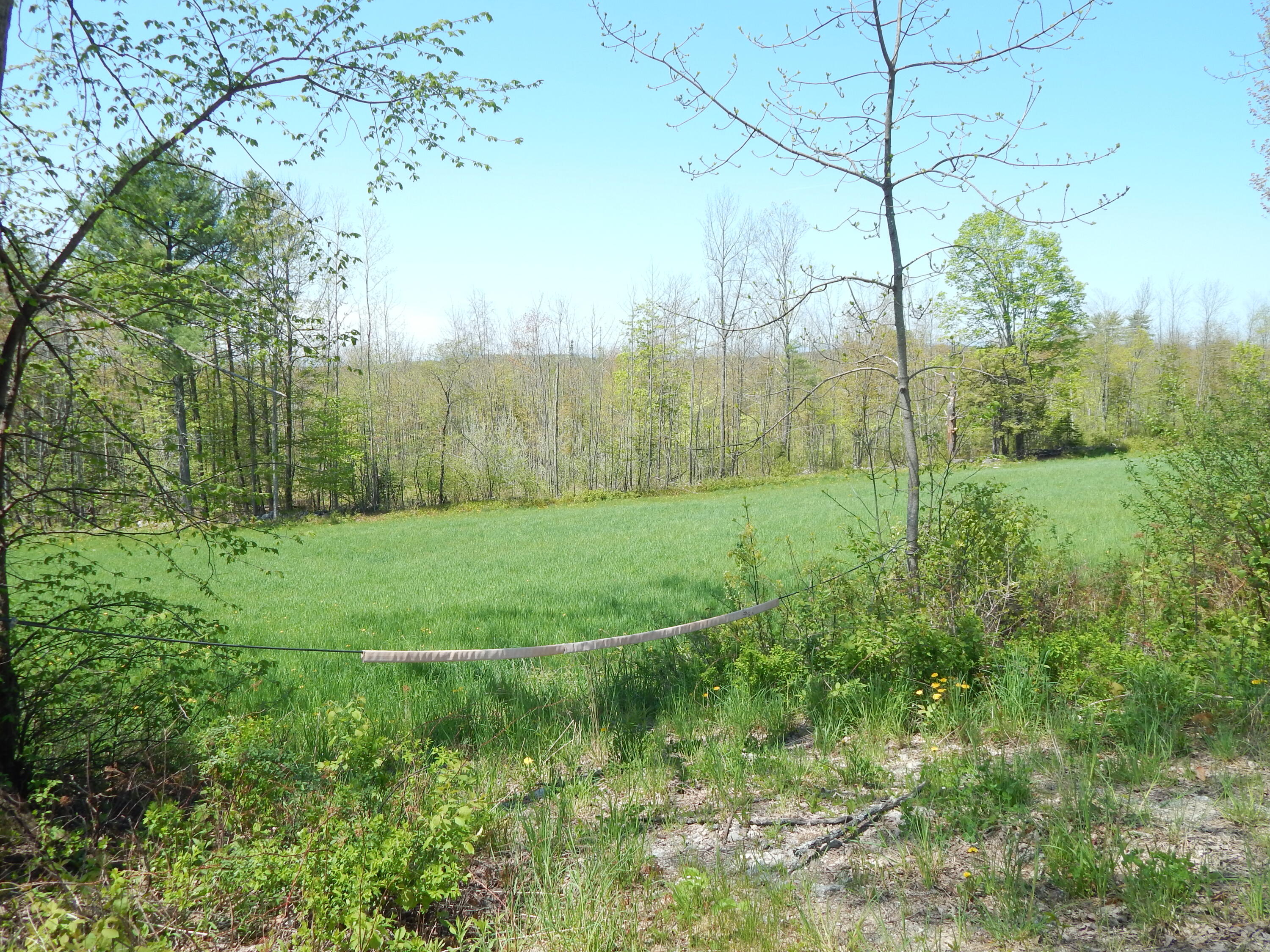 592 Maple Ridge Road Property Photo 5
