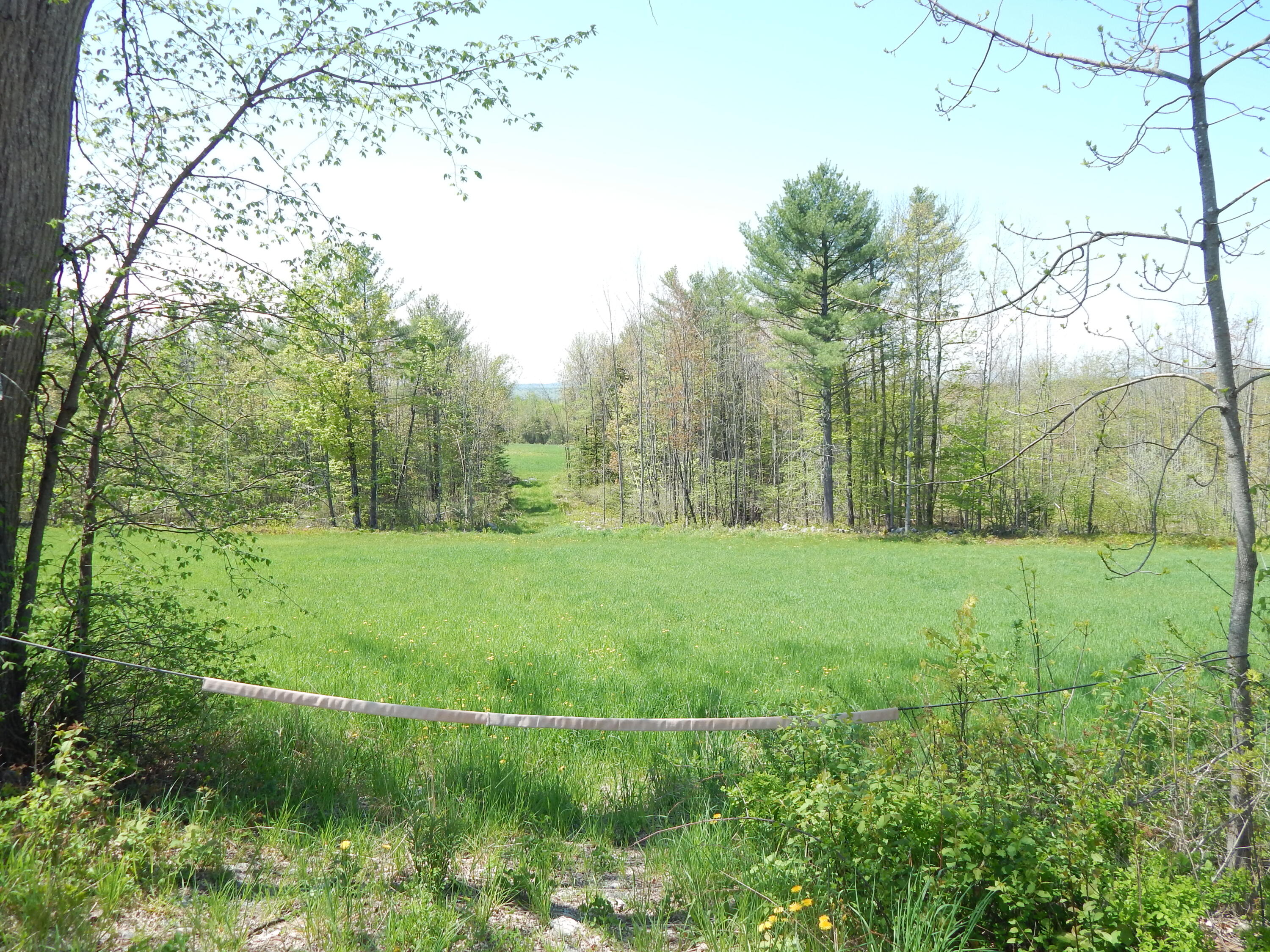 592 Maple Ridge Road Property Photo 6