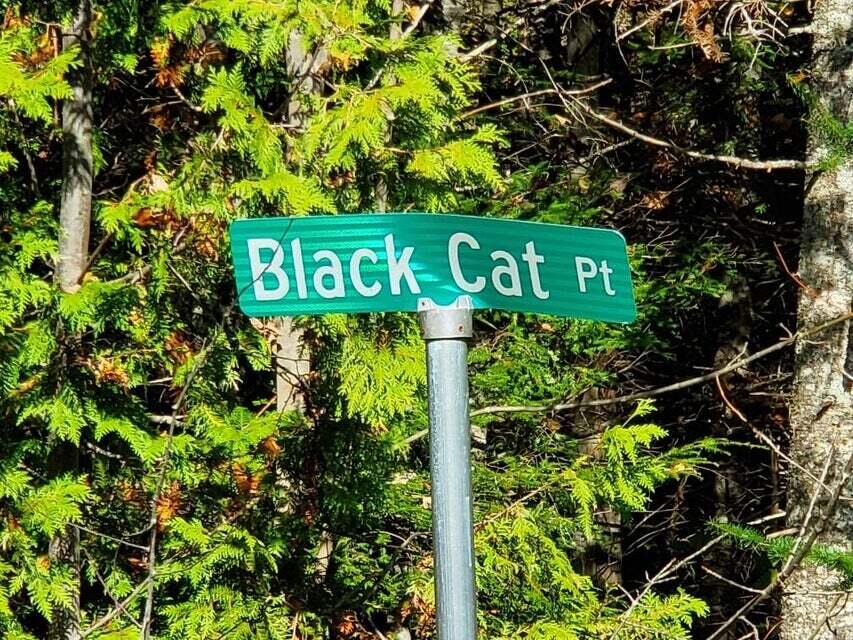 0 Blackcat Pt Drive Property Photo 2