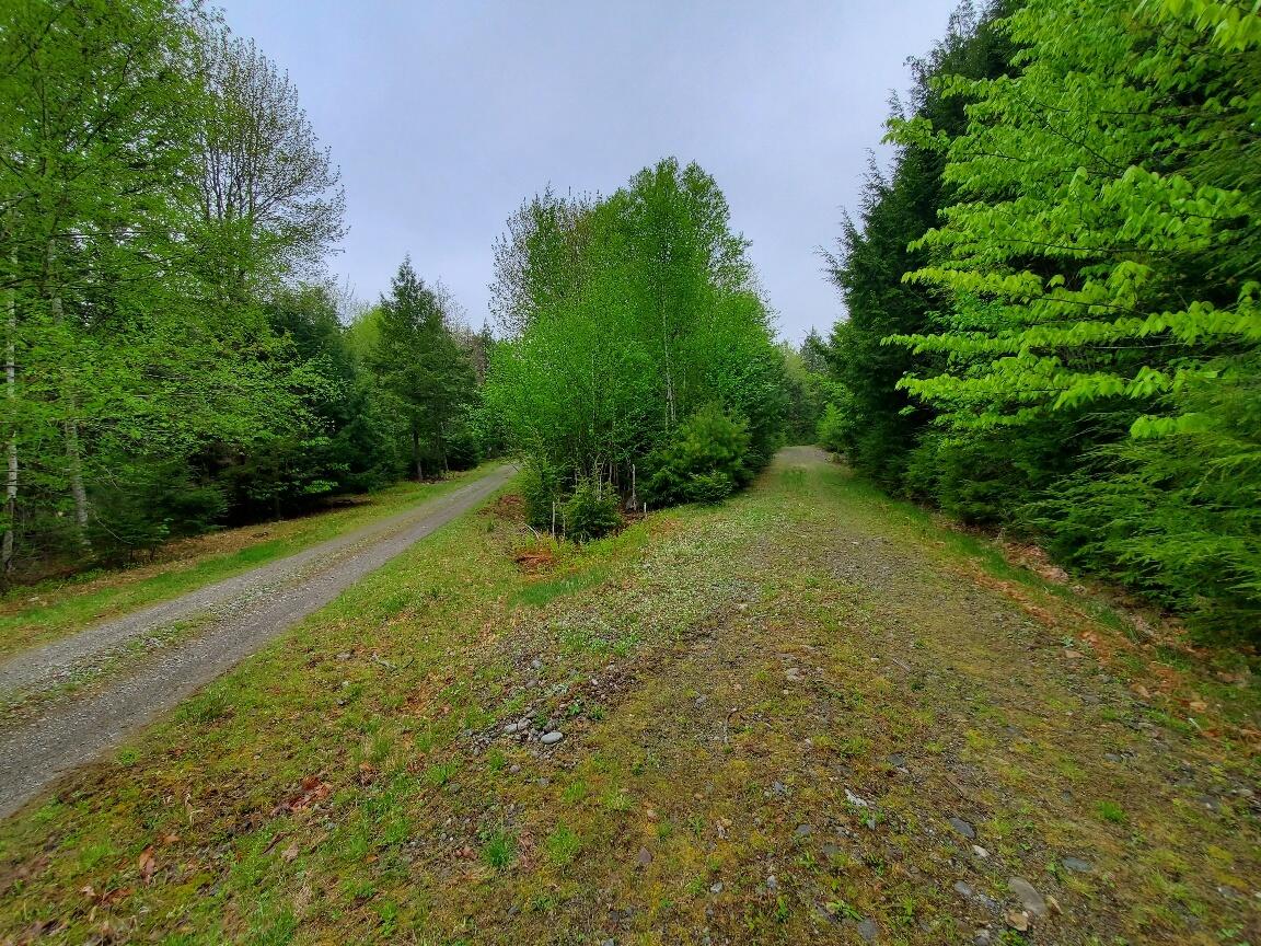 0 Blackcat Pt Drive Property Photo 3