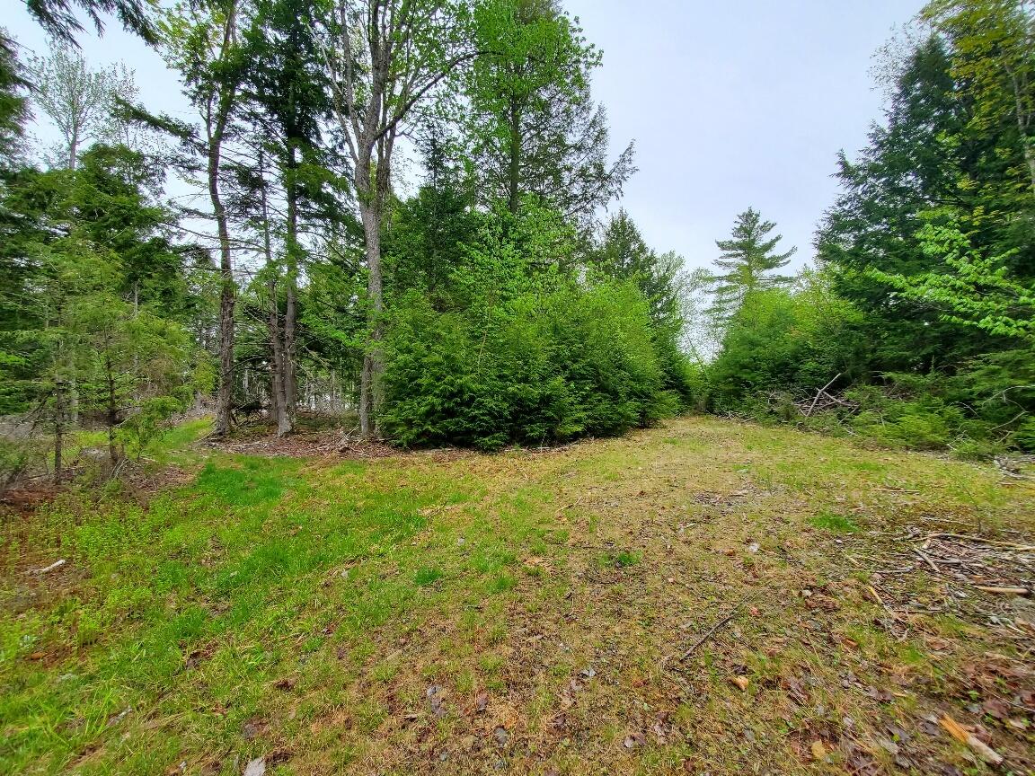 0 Blackcat Pt Drive Property Photo 7